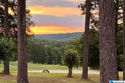 Fairways Abound —  Hot Tub · Sleeps 24 · Estate on the Fairway - Image 2